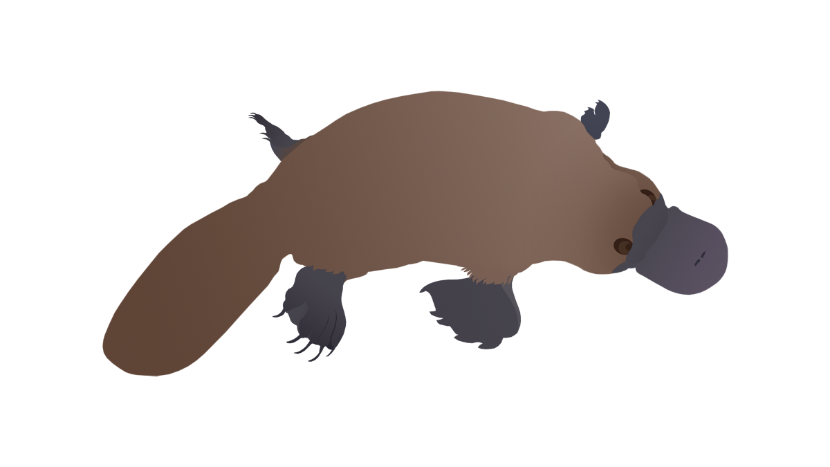 Platypus